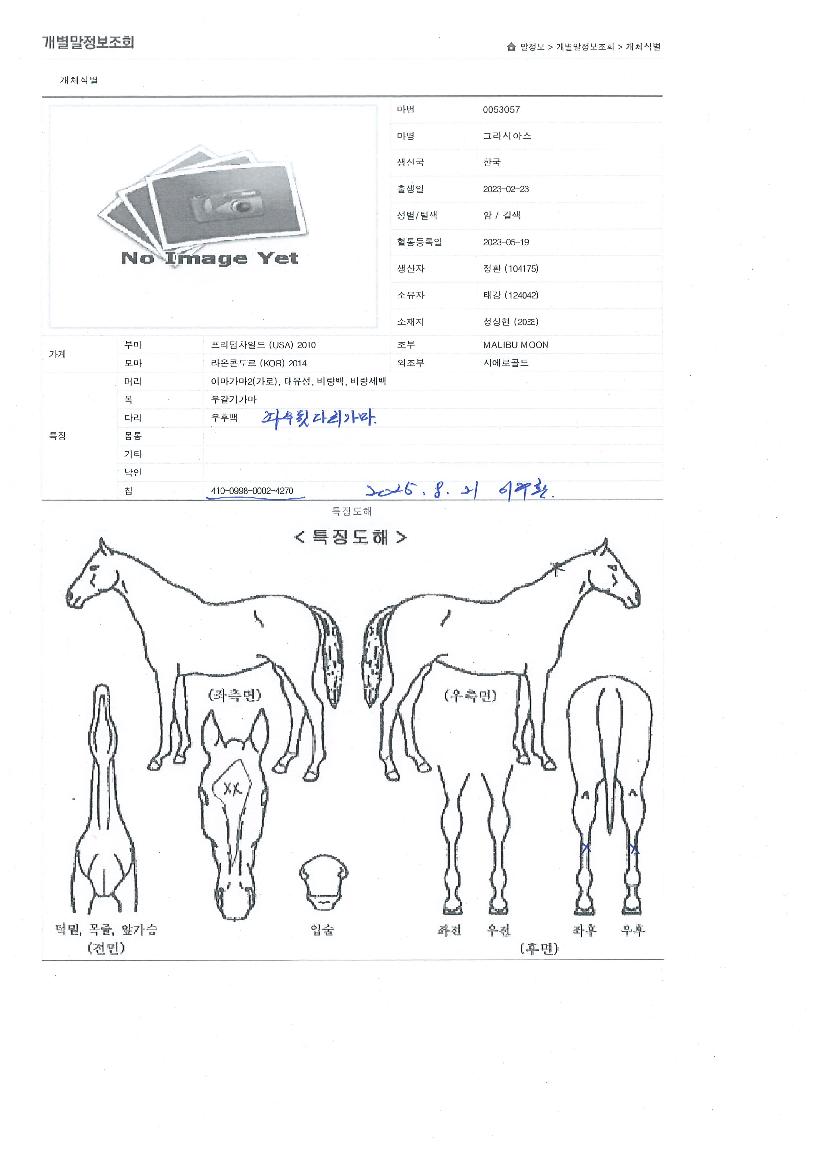 �׶�þƽ��� ����,���,�޸�,�λ�,�ٸ��� Ư¡����