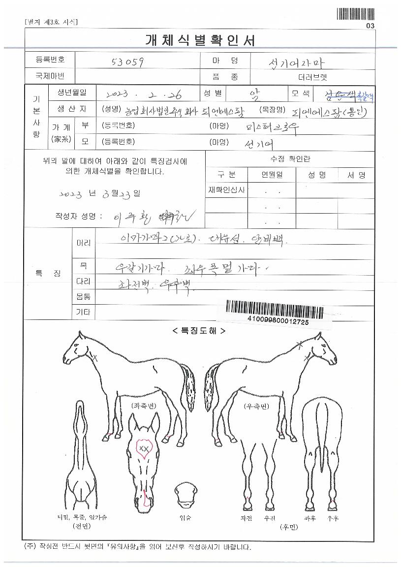 ¼±±â¾îÀÚ¸¶ÀÇ Ãø¸é,¿ì¸é,µÞ¸é,µÎ»ó,´Ù¸®ÀÇ Æ¯Â¡µµÇØ