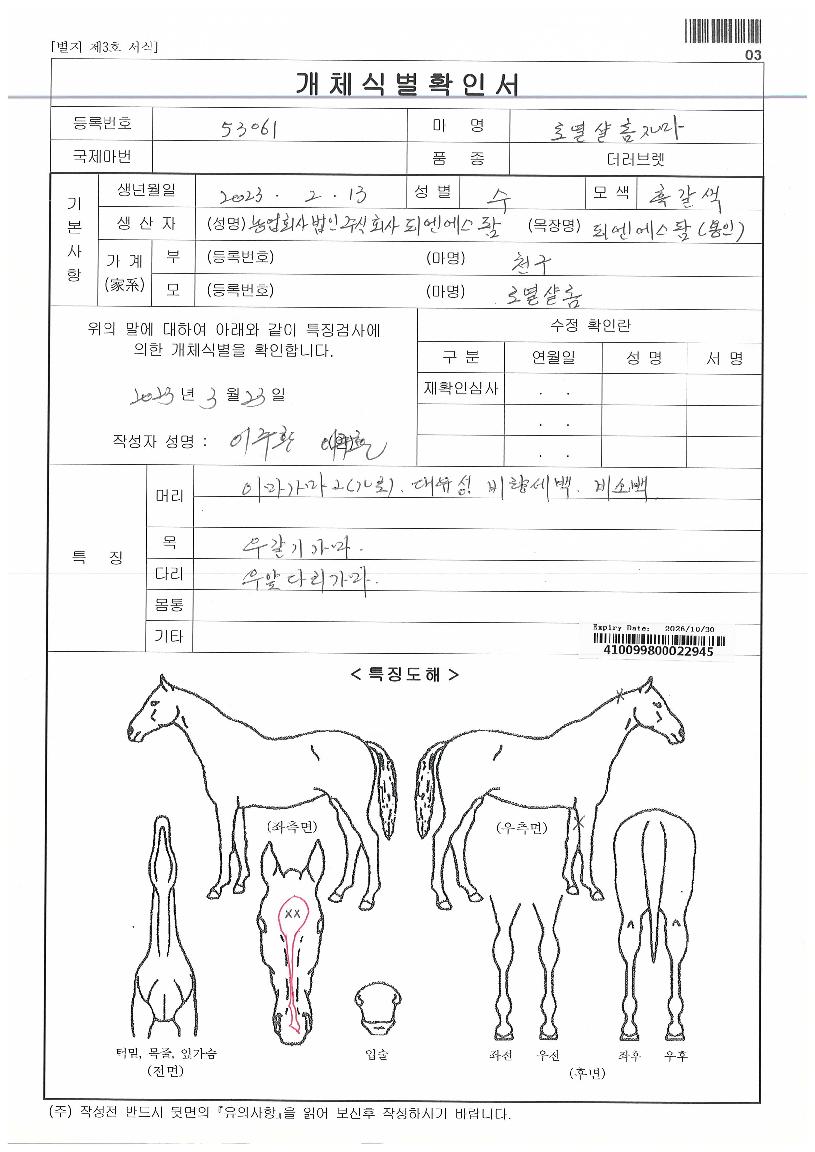 ÇÇ¿£¿¡½º·Î¸¸ÀÇ Ãø¸é,¿ì¸é,µÞ¸é,µÎ»ó,´Ù¸®ÀÇ Æ¯Â¡µµÇØ