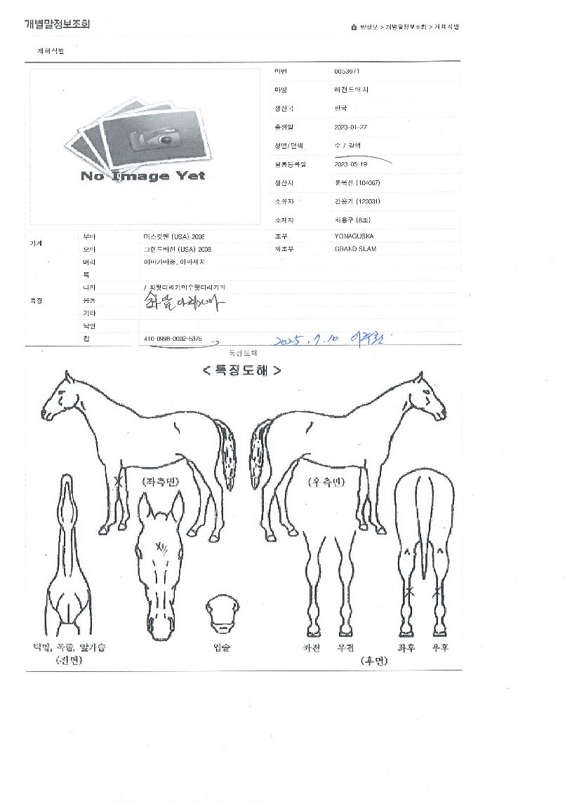 ·¹Àüµå¸ÅÄ¡ÀÇ Ãø¸é,¿ì¸é,µÞ¸é,µÎ»ó,´Ù¸®ÀÇ Æ¯Â¡µµÇØ