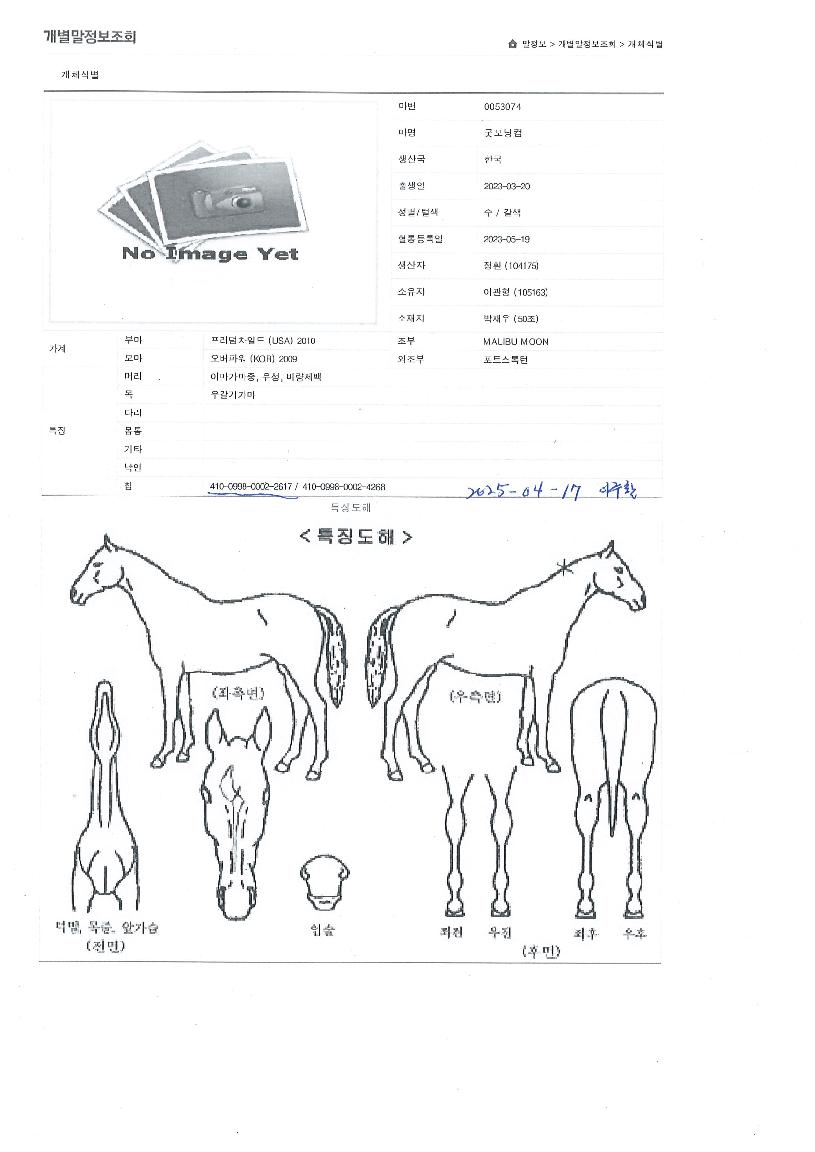 �¸������ ����,���,�޸�,�λ�,�ٸ��� Ư¡����