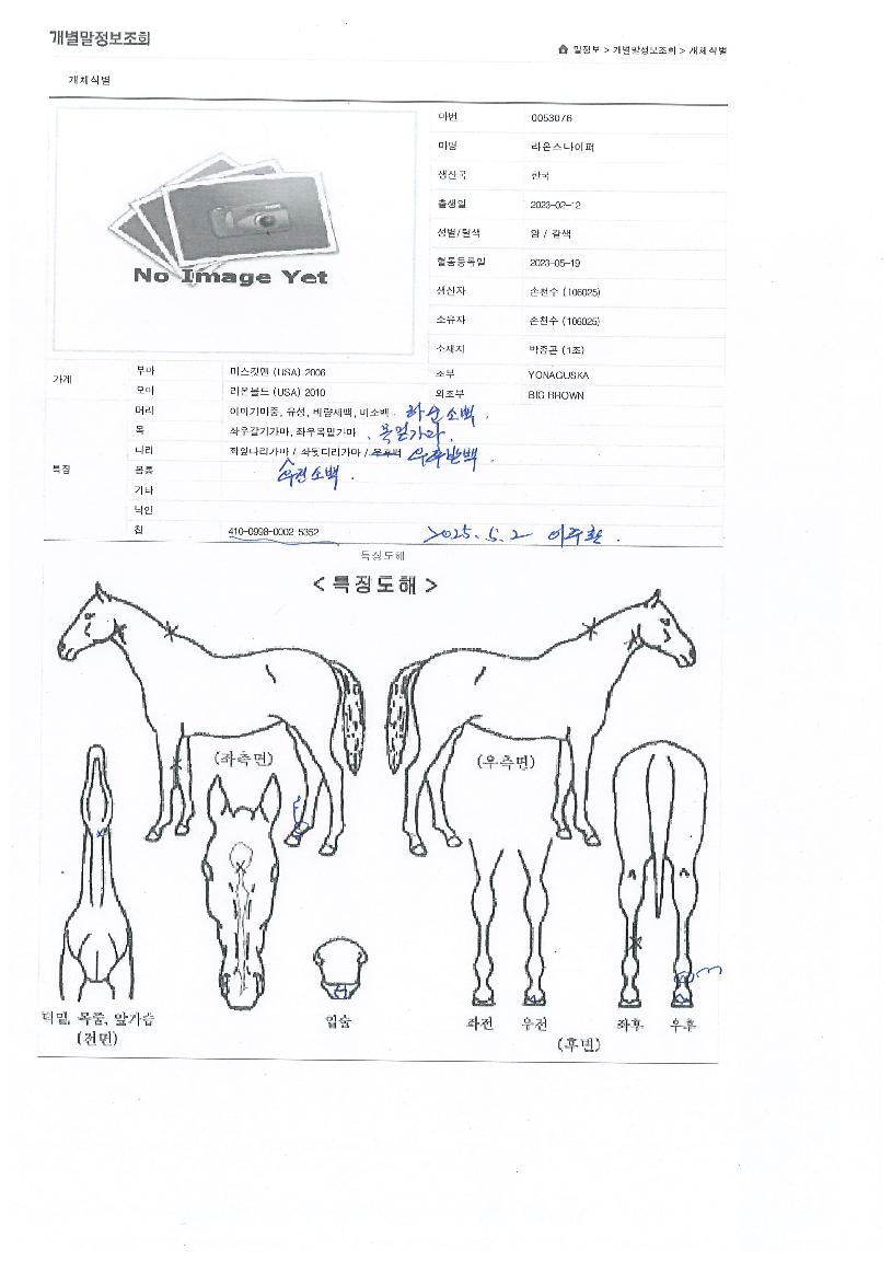 ��½��������� ����,���,�޸�,�λ�,�ٸ��� Ư¡����