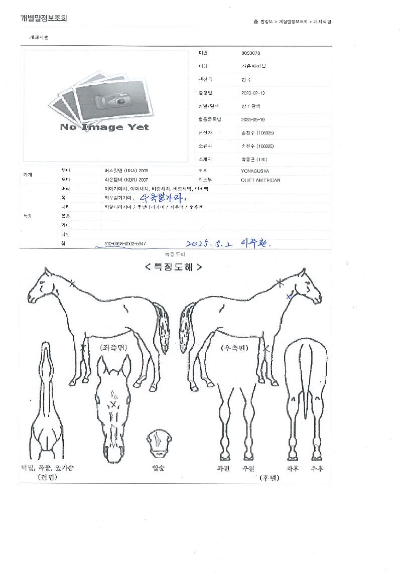 ������̳��� ����,���,�޸�,�λ�,�ٸ��� Ư¡����