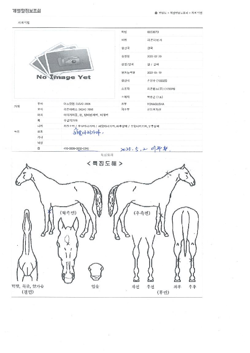 ¶ó¿Â´õ¹ø°³ÀÇ Ãø¸é,¿ì¸é,µÞ¸é,µÎ»ó,´Ù¸®ÀÇ Æ¯Â¡µµÇØ