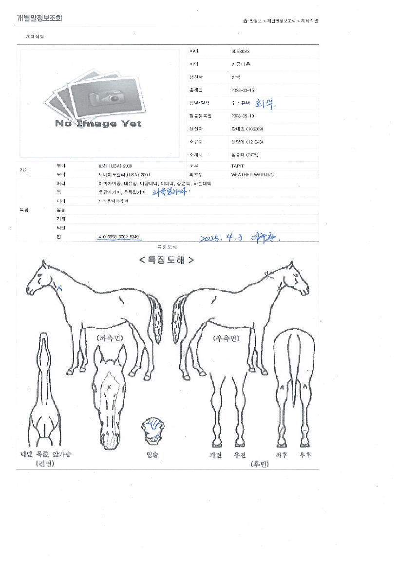 ���ݴٿ��� ����,���,�޸�,�λ�,�ٸ��� Ư¡����