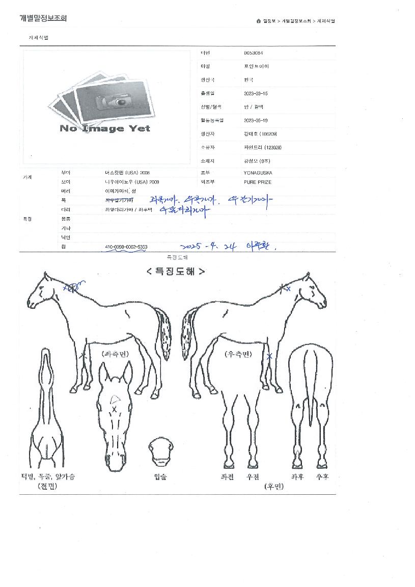 Æ÷ÀÎÆ®¾ÆÀÌÀÇ Ãø¸é,¿ì¸é,µÞ¸é,µÎ»ó,´Ù¸®ÀÇ Æ¯Â¡µµÇØ