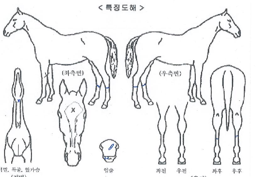 ����ũ����� ����,���,�޸�,�λ�,�ٸ��� Ư¡����