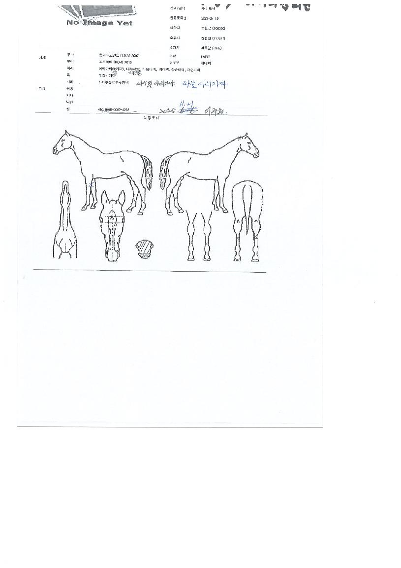 ����ŷ�� ����,���,�޸�,�λ�,�ٸ��� Ư¡����