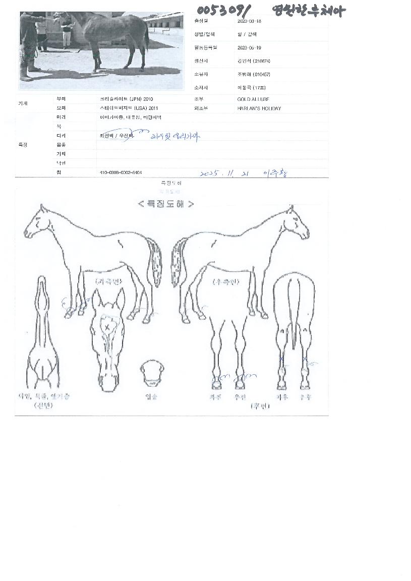 ¿µ¿øÇÑ·çü¾ÆÀÇ Ãø¸é,¿ì¸é,µÞ¸é,µÎ»ó,´Ù¸®ÀÇ Æ¯Â¡µµÇØ