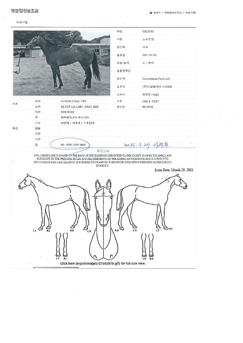 ½ºÆÛÆ®ºøÀÇ Ãø¸é,¿ì¸é,µÞ¸é,µÎ»ó,´Ù¸®ÀÇ Æ¯Â¡µµÇØ