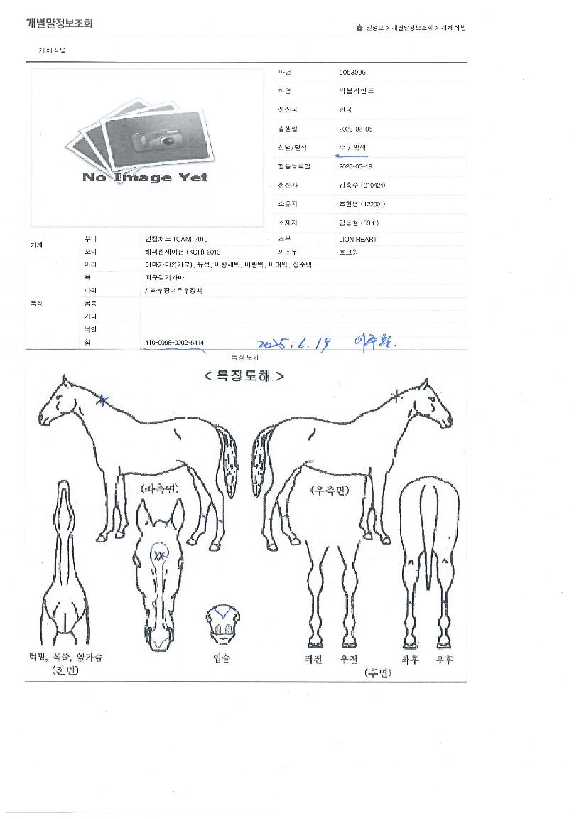 ������ε��� ����,���,�޸�,�λ�,�ٸ��� Ư¡����