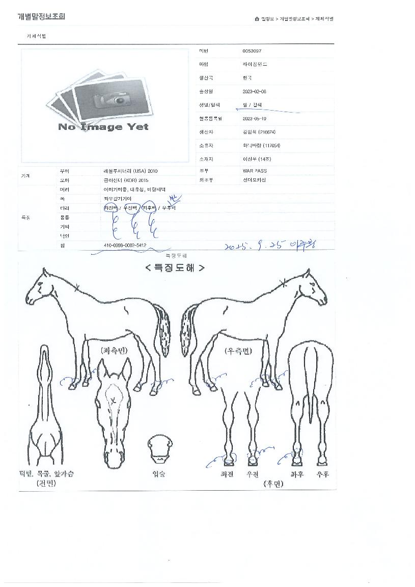 ¶óÀÌ¡À©µåÀÇ Ãø¸é,¿ì¸é,µÞ¸é,µÎ»ó,´Ù¸®ÀÇ Æ¯Â¡µµÇØ