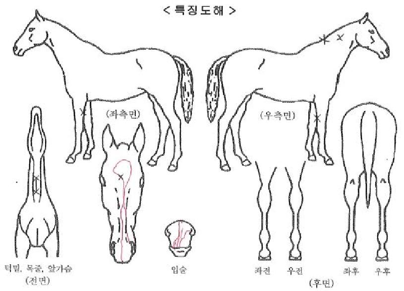 ������� ����,���,�޸�,�λ�,�ٸ��� Ư¡����