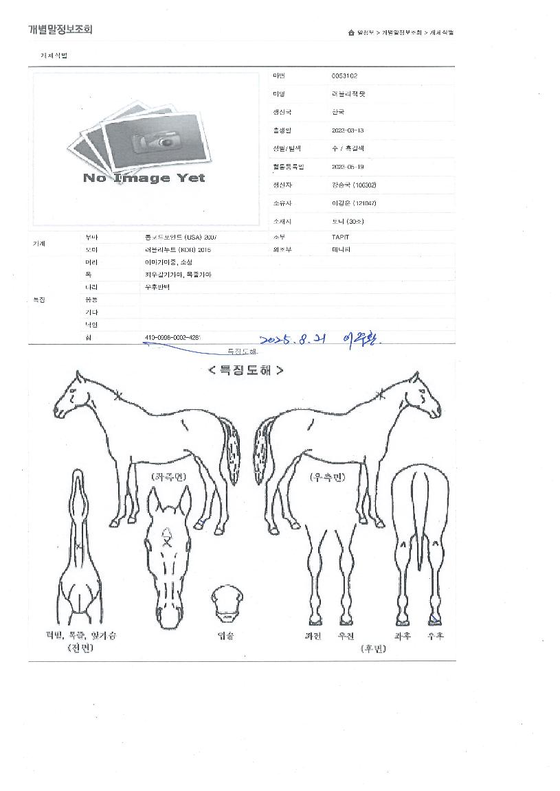 ������������ ����,���,�޸�,�λ�,�ٸ��� Ư¡����