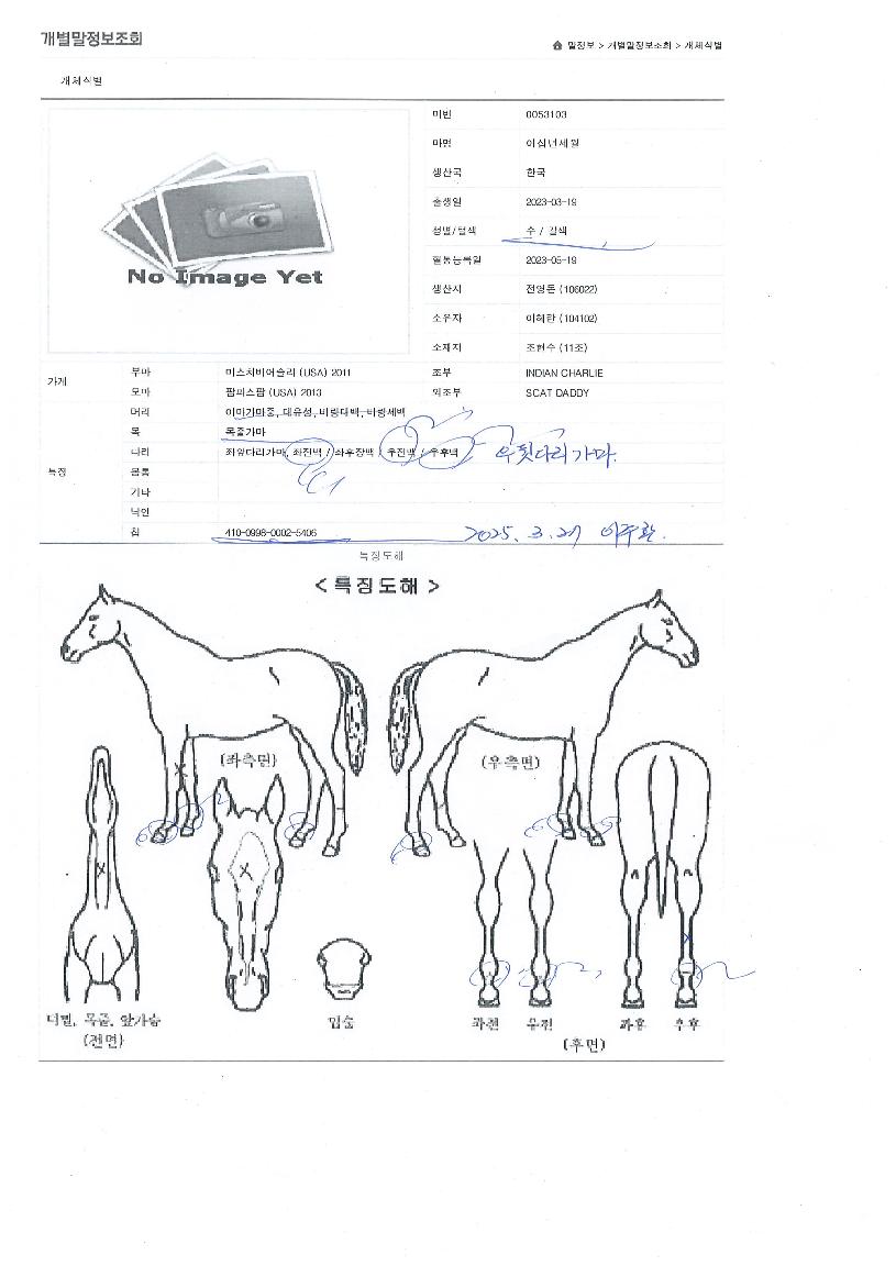 À̽ʳ⼼¿ùÀÇ Ãø¸é,¿ì¸é,µÞ¸é,µÎ»ó,´Ù¸®ÀÇ Æ¯Â¡µµÇØ