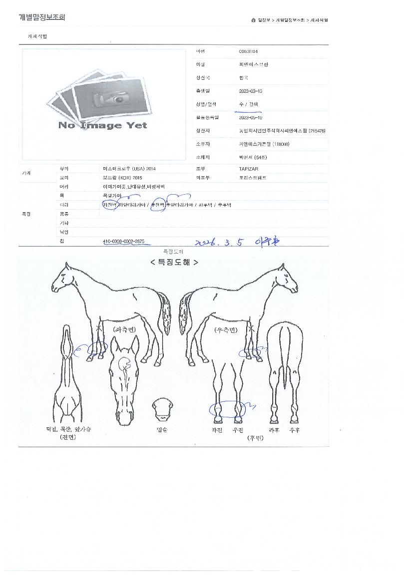 �ǿ���������� ����,���,�޸�,�λ�,�ٸ��� Ư¡����