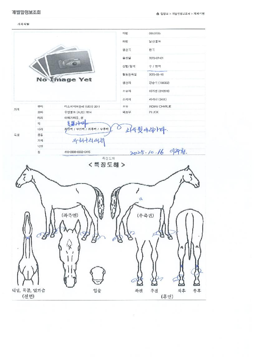 ���꺼Ʈ�� ����,���,�޸�,�λ�,�ٸ��� Ư¡����