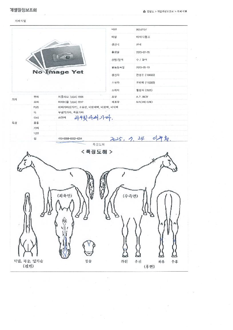 ¸¶ÀÌÆ¼Ã¨ÇÁÀÇ Ãø¸é,¿ì¸é,µÞ¸é,µÎ»ó,´Ù¸®ÀÇ Æ¯Â¡µµÇØ