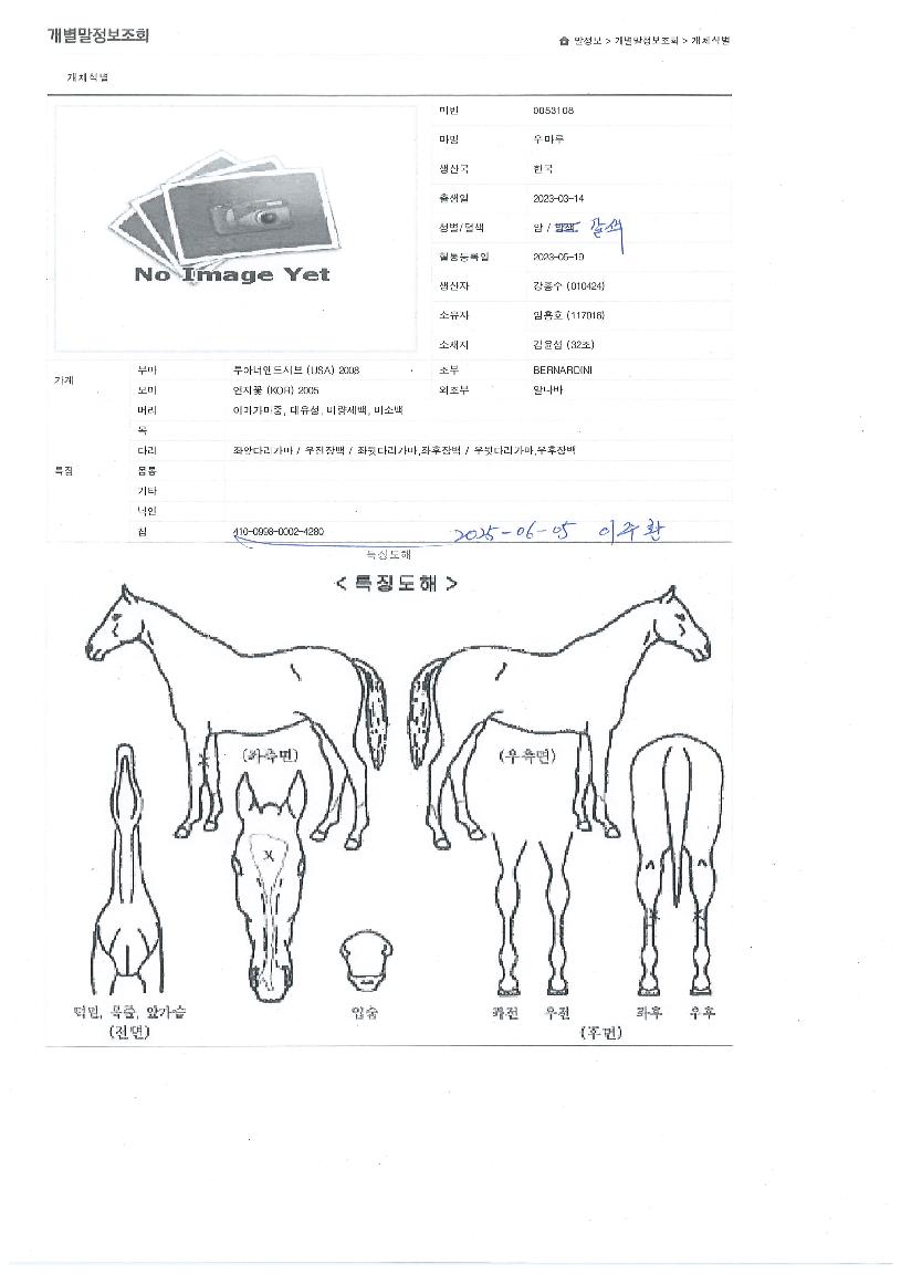 ¿ì¸¶·çÀÇ Ãø¸é,¿ì¸é,µÞ¸é,µÎ»ó,´Ù¸®ÀÇ Æ¯Â¡µµÇØ