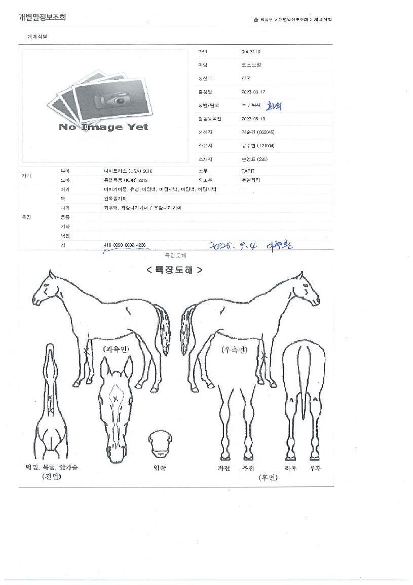´ëµ¿¿ë¸¶ÀÇ Ãø¸é,¿ì¸é,µÞ¸é,µÎ»ó,´Ù¸®ÀÇ Æ¯Â¡µµÇØ