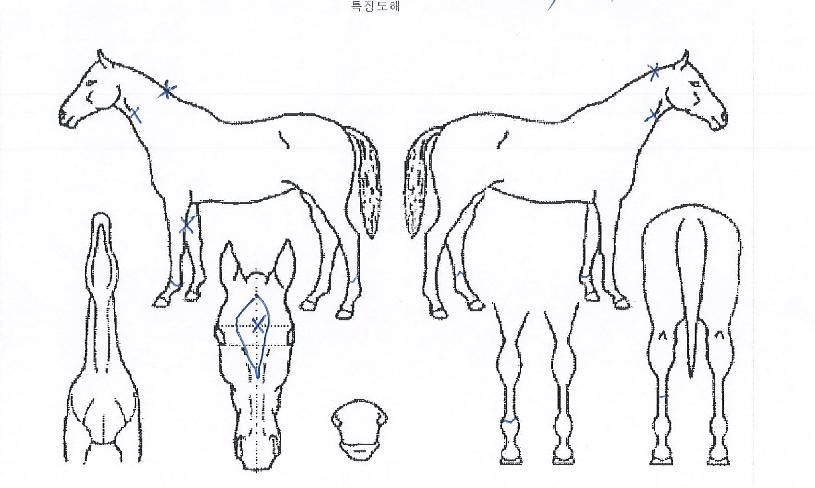 �����ҵ��� ����,���,�޸�,�λ�,�ٸ��� Ư¡����