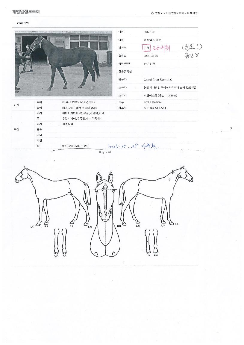 ����Ȧ�������� ����,���,�޸�,�λ�,�ٸ��� Ư¡����