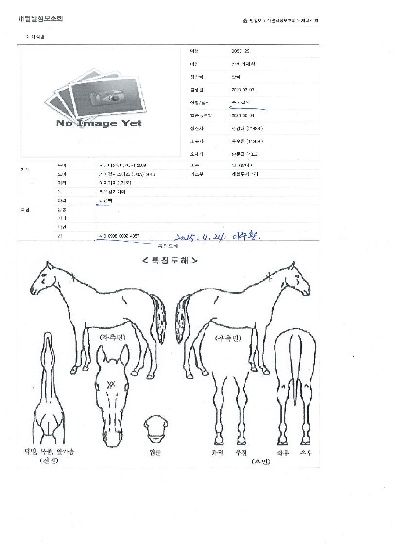 »ï¹ÙÀÇÁ¦¿ÕÀÇ Ãø¸é,¿ì¸é,µÞ¸é,µÎ»ó,´Ù¸®ÀÇ Æ¯Â¡µµÇØ