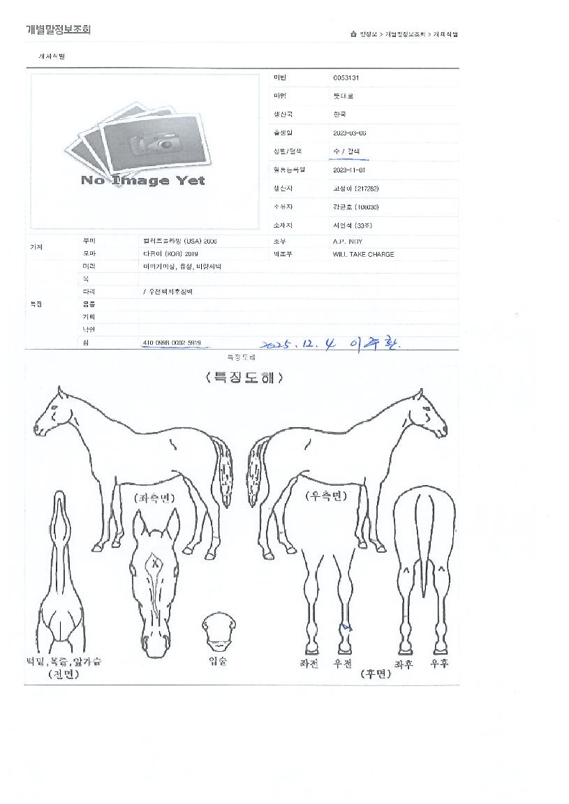 ¶æ´ë·ÎÀÇ Ãø¸é,¿ì¸é,µÞ¸é,µÎ»ó,´Ù¸®ÀÇ Æ¯Â¡µµÇØ