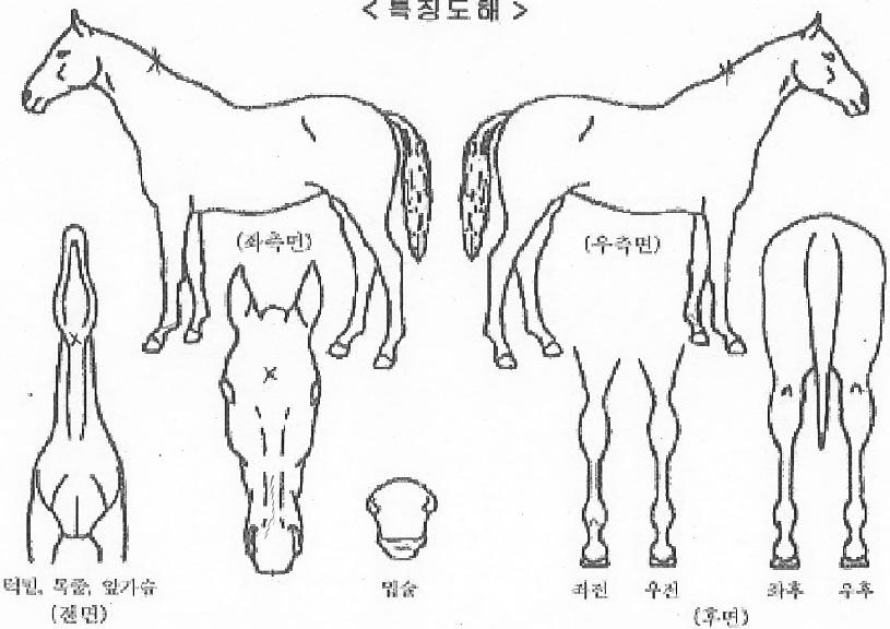 ���������� ����,���,�޸�,�λ�,�ٸ��� Ư¡����