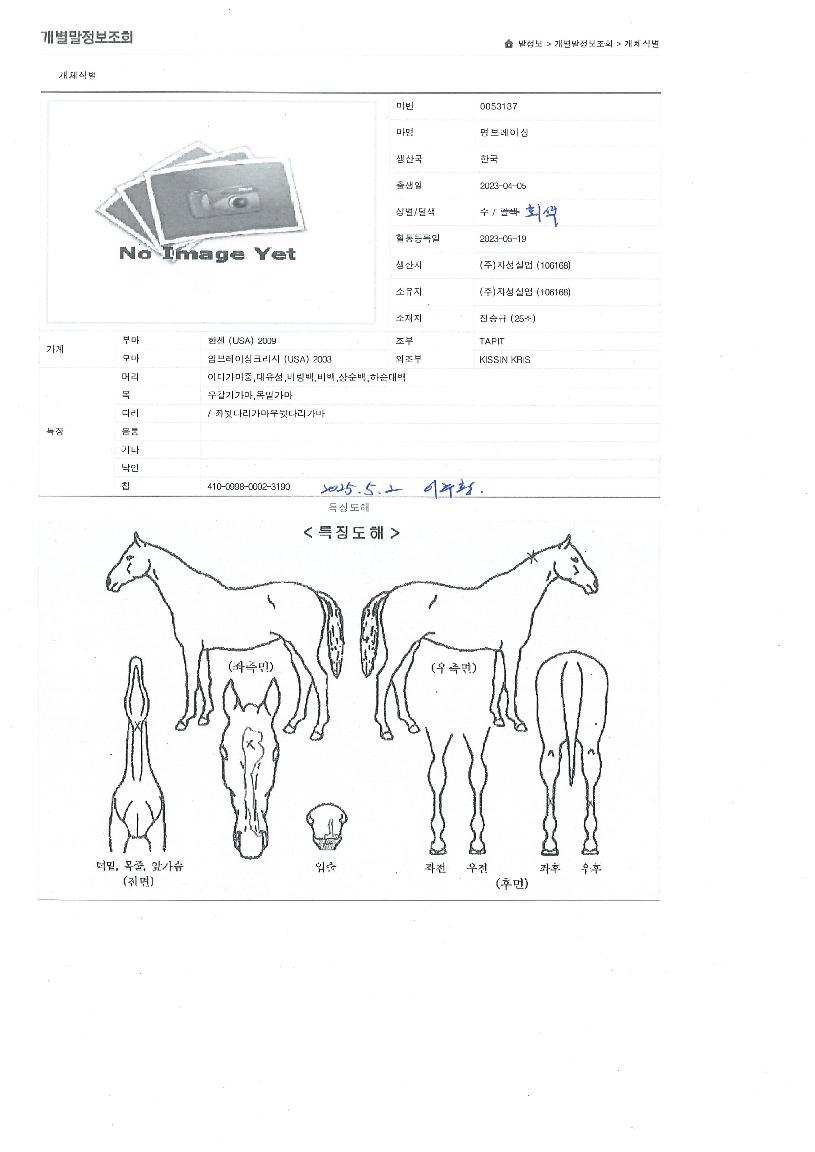 ¸íºê·¹À̽ÌÀÇ Ãø¸é,¿ì¸é,µÞ¸é,µÎ»ó,´Ù¸®ÀÇ Æ¯Â¡µµÇØ