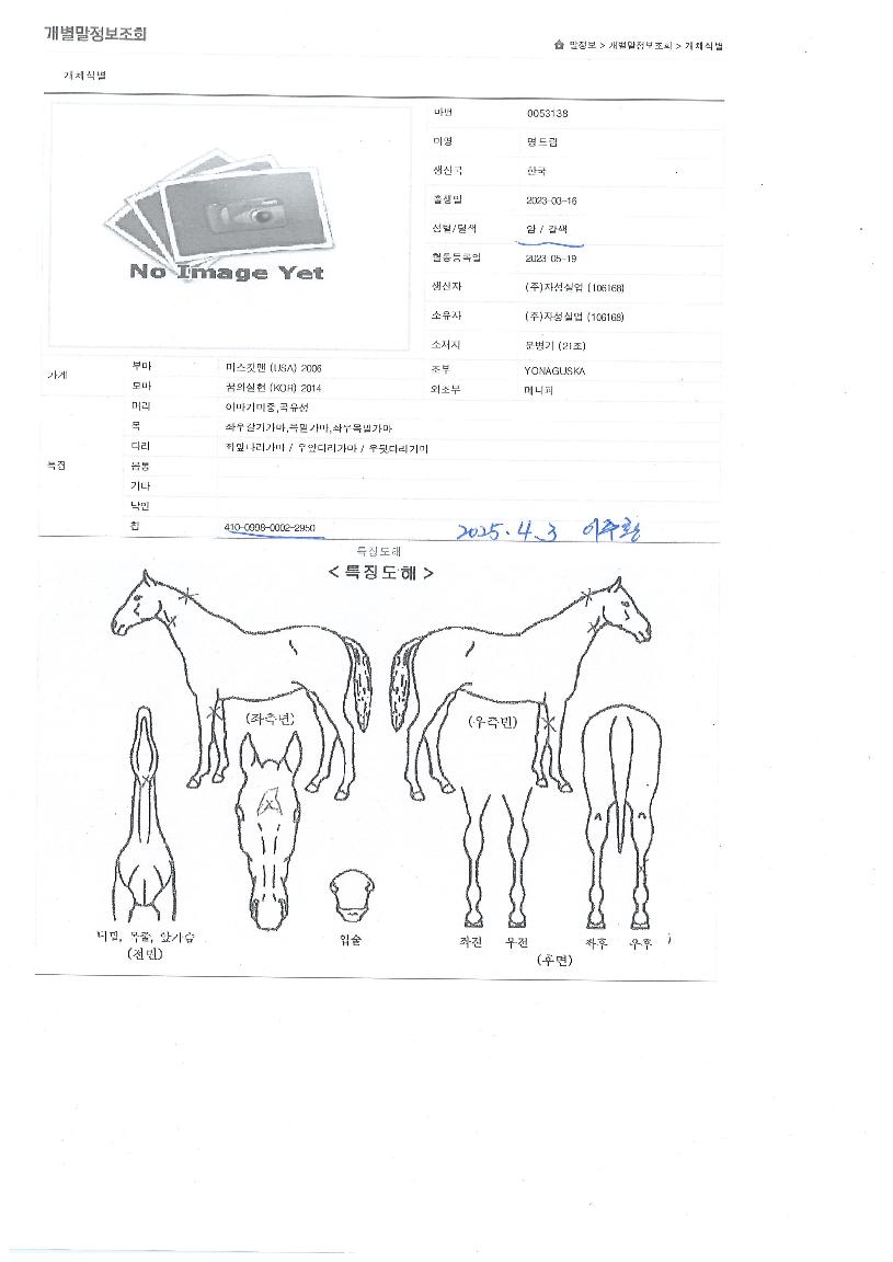 ���帲�� ����,���,�޸�,�λ�,�ٸ��� Ư¡����