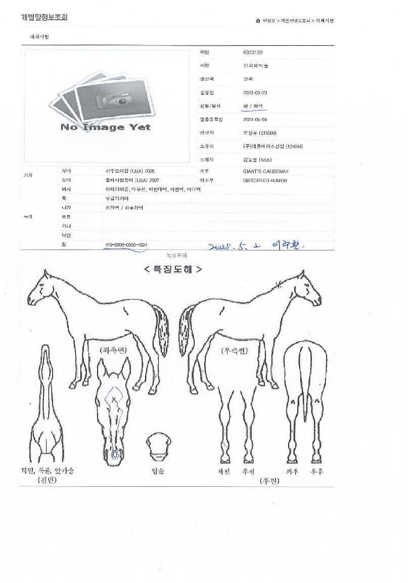 ½Å¶óÀǺñ¼úÀÇ Ãø¸é,¿ì¸é,µÞ¸é,µÎ»ó,´Ù¸®ÀÇ Æ¯Â¡µµÇØ