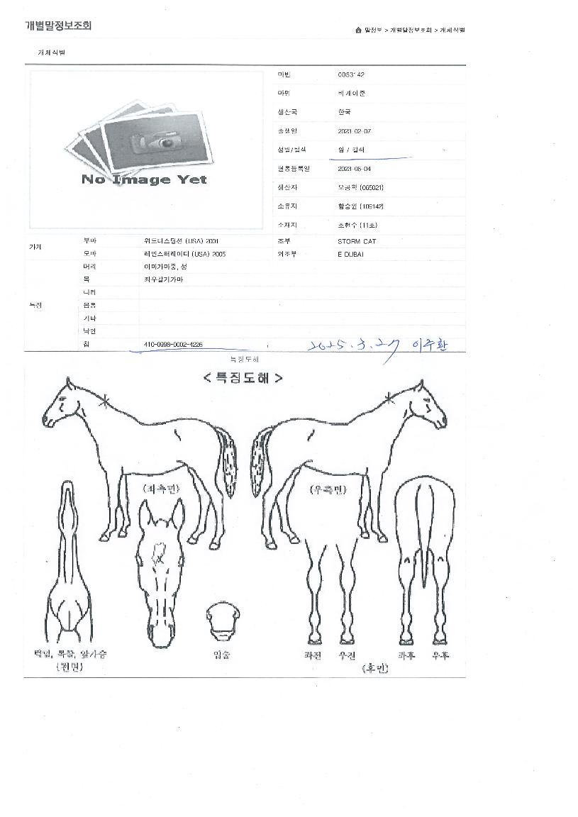 ºñÄÉÀÌÁØÀÇ Ãø¸é,¿ì¸é,µÞ¸é,µÎ»ó,´Ù¸®ÀÇ Æ¯Â¡µµÇØ