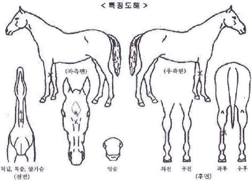 �̽����������� ����,���,�޸�,�λ�,�ٸ��� Ư¡����