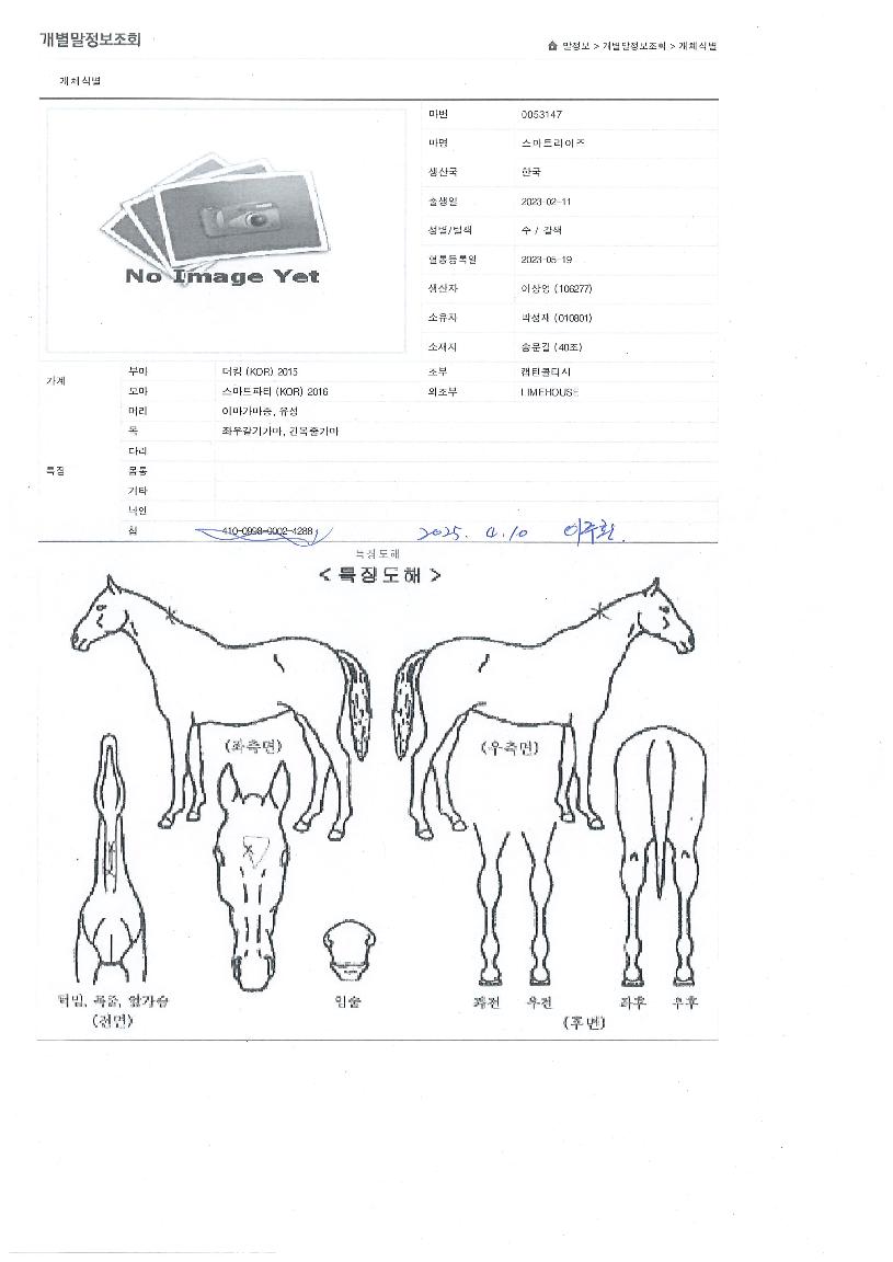 ½º¸¶Æ®¶óÀÌÁîÀÇ Ãø¸é,¿ì¸é,µÞ¸é,µÎ»ó,´Ù¸®ÀÇ Æ¯Â¡µµÇØ