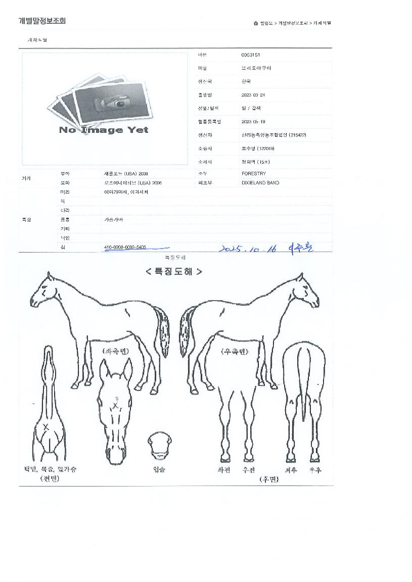 ºê¸®µµ¾ÆÄí¾ÆÀÇ Ãø¸é,¿ì¸é,µÞ¸é,µÎ»ó,´Ù¸®ÀÇ Æ¯Â¡µµÇØ