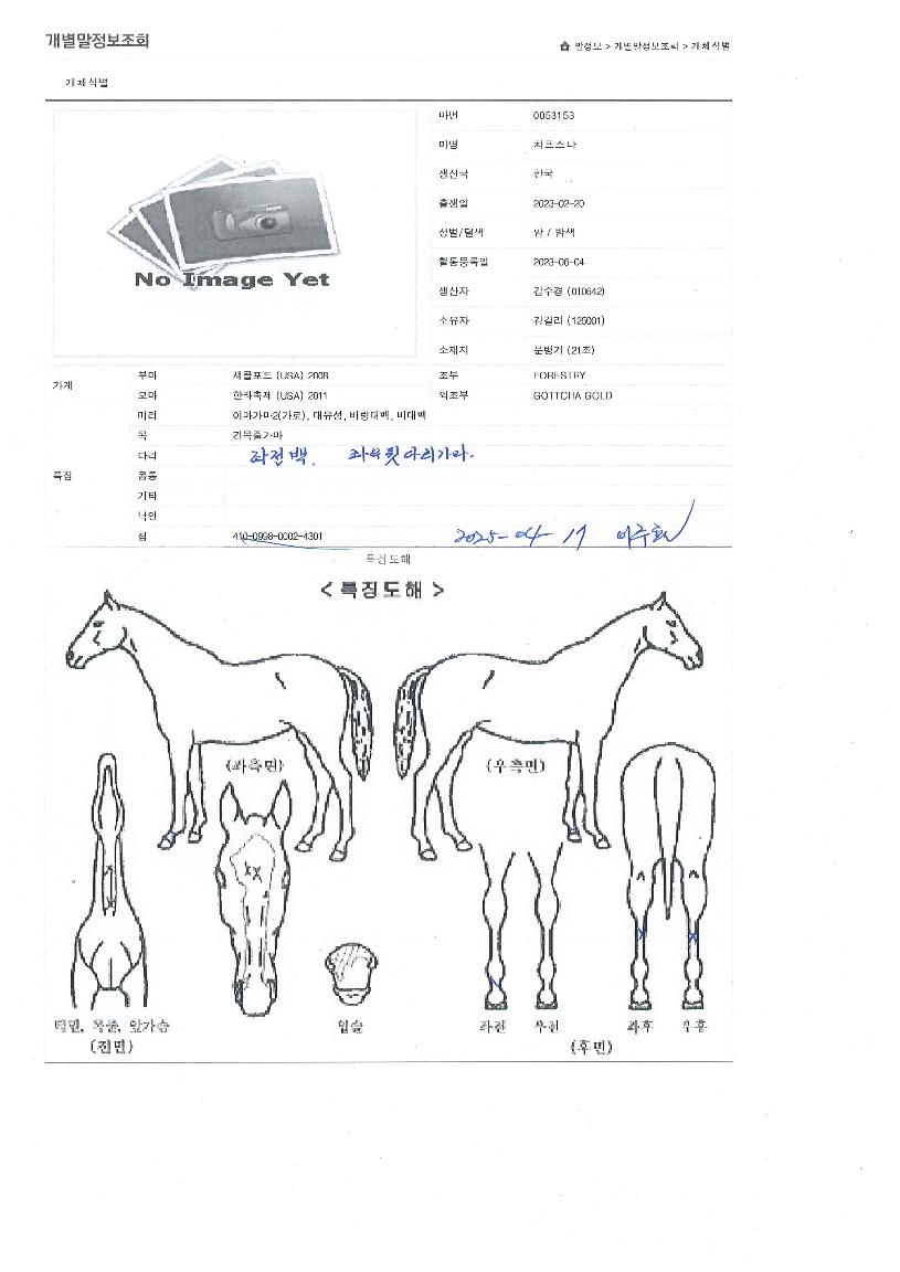 Ä¡ÇÁ½ºÅ¸ÀÇ Ãø¸é,¿ì¸é,µÞ¸é,µÎ»ó,´Ù¸®ÀÇ Æ¯Â¡µµÇØ