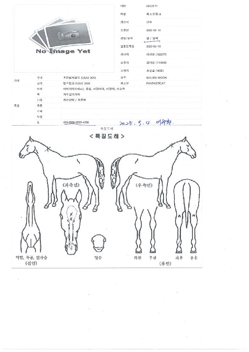 º£½ºÆ®¹ÖÅ©ÀÇ Ãø¸é,¿ì¸é,µÞ¸é,µÎ»ó,´Ù¸®ÀÇ Æ¯Â¡µµÇØ