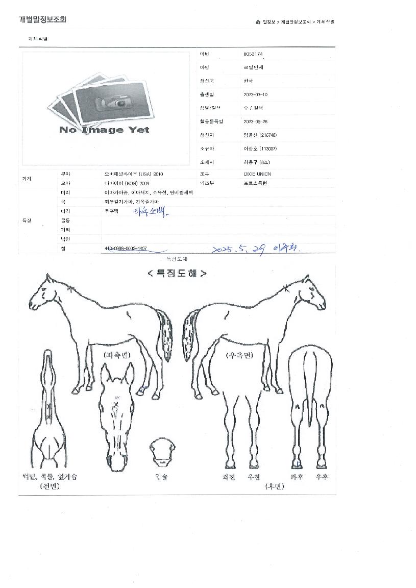 ·Î¿¸¸¼¼ÀÇ Ãø¸é,¿ì¸é,µÞ¸é,µÎ»ó,´Ù¸®ÀÇ Æ¯Â¡µµÇØ