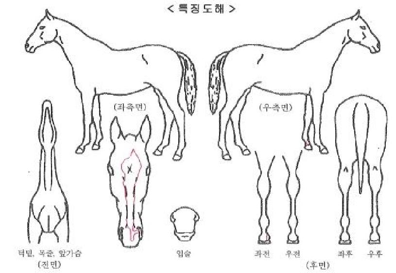 Ƽ������ ����,���,�޸�,�λ�,�ٸ��� Ư¡����