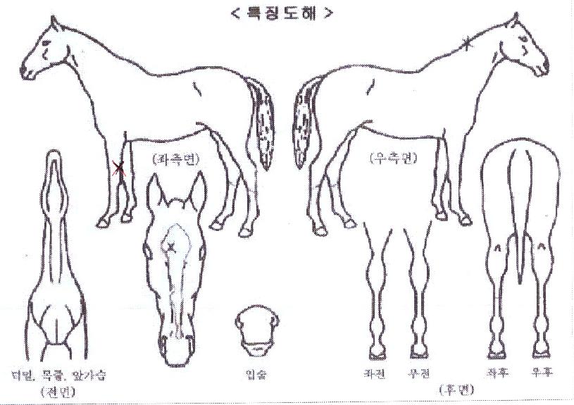 ¾ÆÆ®Æ®¸®ÀÇ Ãø¸é,¿ì¸é,µÞ¸é,µÎ»ó,´Ù¸®ÀÇ Æ¯Â¡µµÇØ
