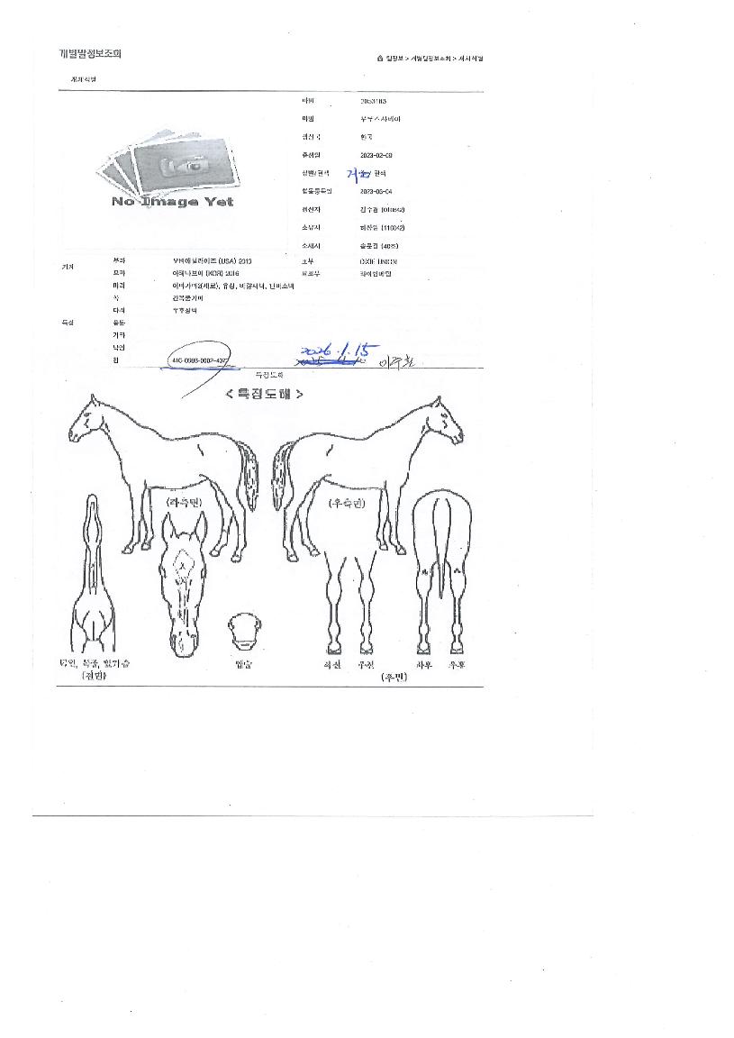 ��罺������ ����,���,�޸�,�λ�,�ٸ��� Ư¡����