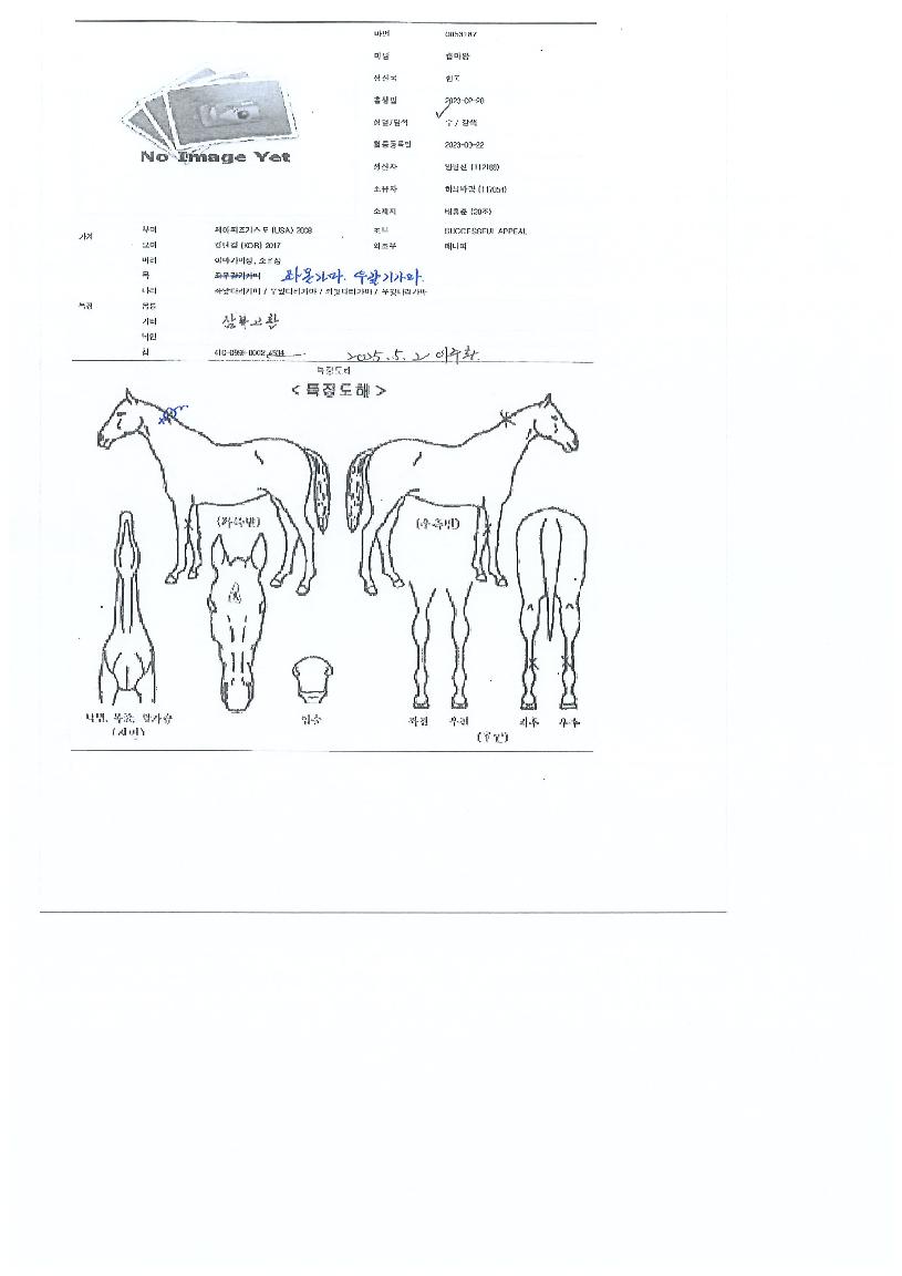 ĸ¸¶¿ÕÀÇ Ãø¸é,¿ì¸é,µÞ¸é,µÎ»ó,´Ù¸®ÀÇ Æ¯Â¡µµÇØ
