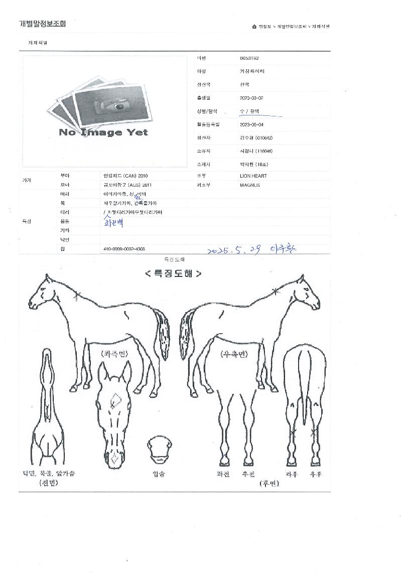 °ÅâÆÄÀÌÅÍÀÇ Ãø¸é,¿ì¸é,µÞ¸é,µÎ»ó,´Ù¸®ÀÇ Æ¯Â¡µµÇØ