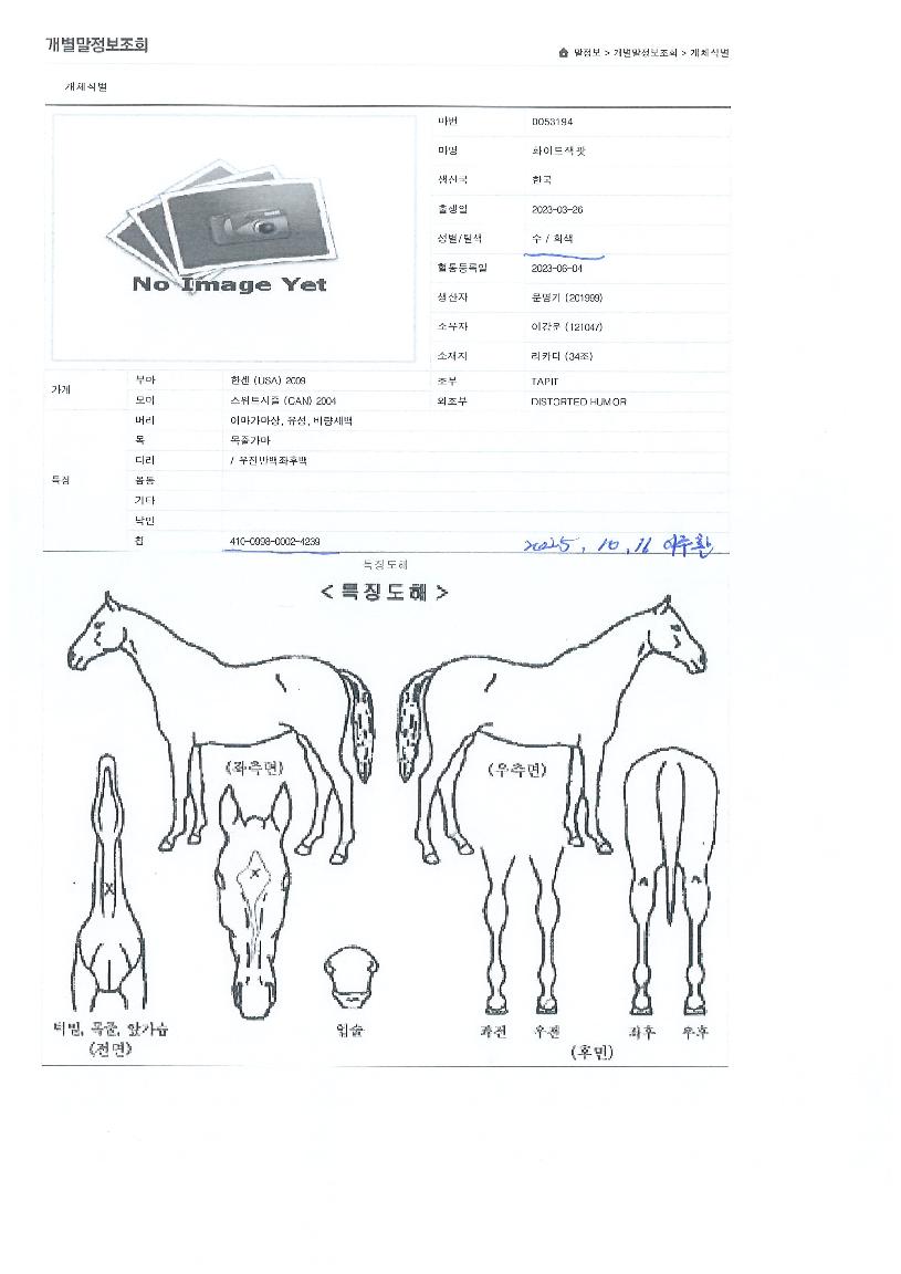 ȭ��Ʈ������ ����,���,�޸�,�λ�,�ٸ��� Ư¡����