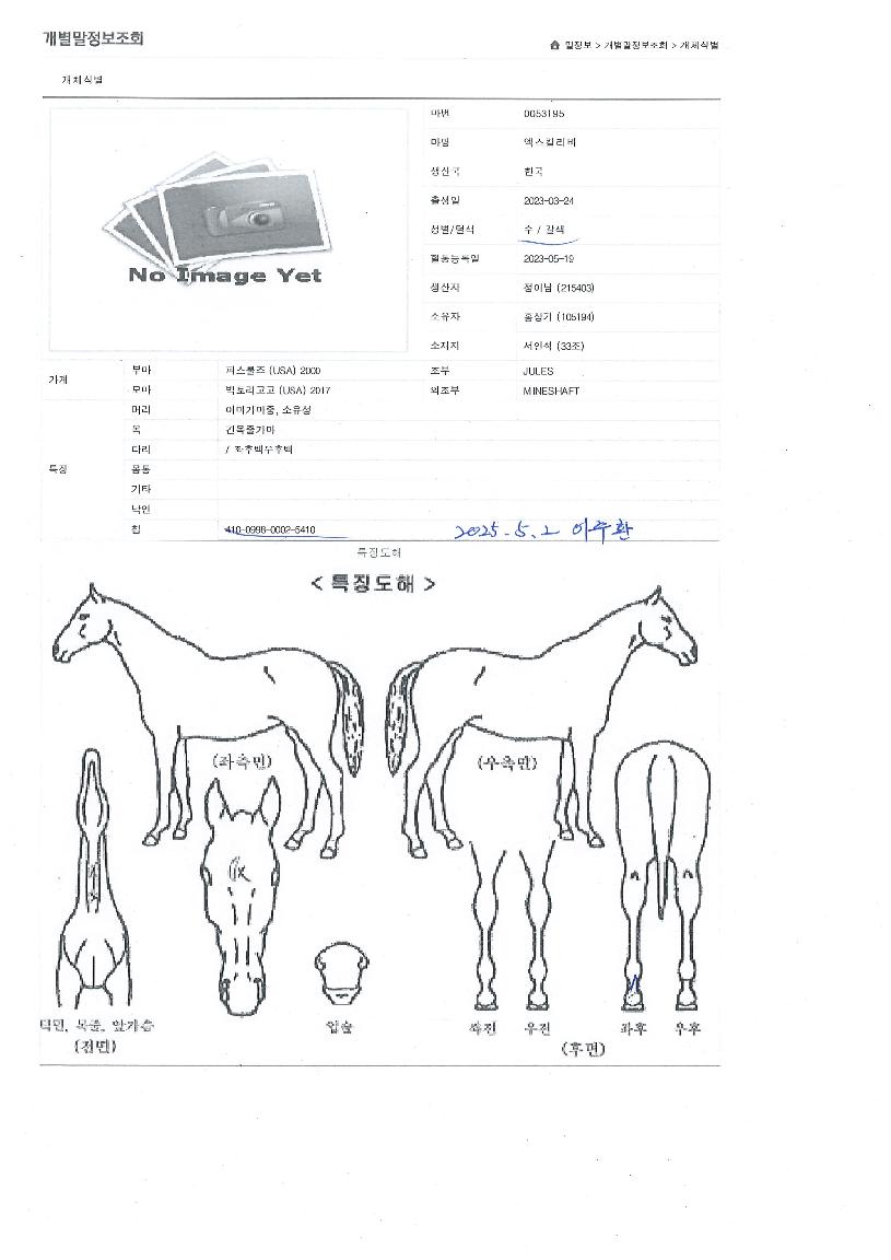 ¿¢½ºÄ®¸®¹öÀÇ Ãø¸é,¿ì¸é,µÞ¸é,µÎ»ó,´Ù¸®ÀÇ Æ¯Â¡µµÇØ