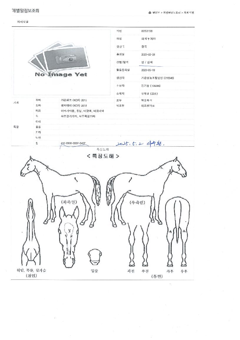 ÇØÇÇÅõ°Ô´õÀÇ Ãø¸é,¿ì¸é,µÞ¸é,µÎ»ó,´Ù¸®ÀÇ Æ¯Â¡µµÇØ