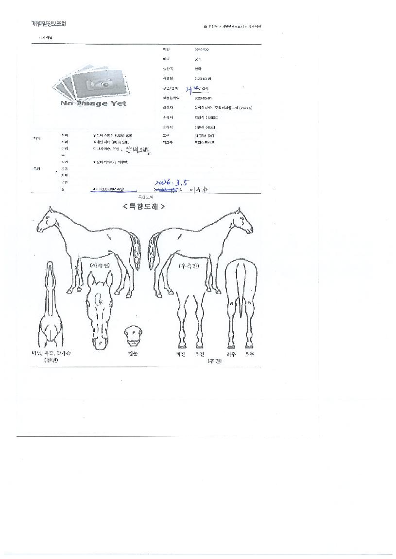 ������ ����,���,�޸�,�λ�,�ٸ��� Ư¡����