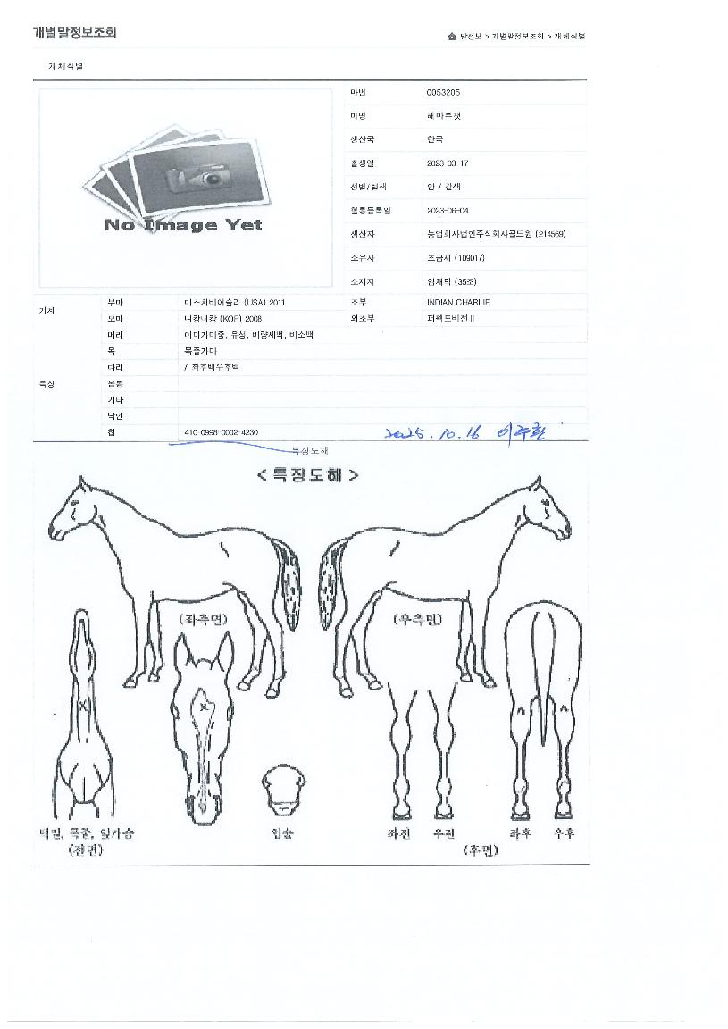 ÇØ¸¶·çêÀÇ Ãø¸é,¿ì¸é,µÞ¸é,µÎ»ó,´Ù¸®ÀÇ Æ¯Â¡µµÇØ