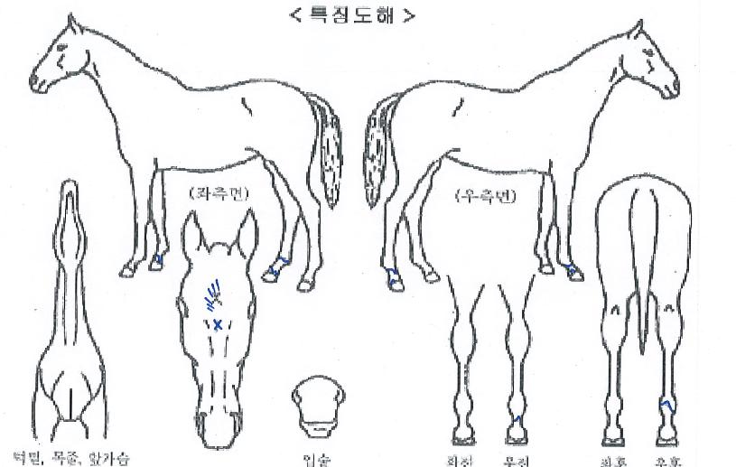 À¯´Ï¹ö¼³ÀÇ Ãø¸é,¿ì¸é,µÞ¸é,µÎ»ó,´Ù¸®ÀÇ Æ¯Â¡µµÇØ